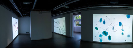 digital art installation
